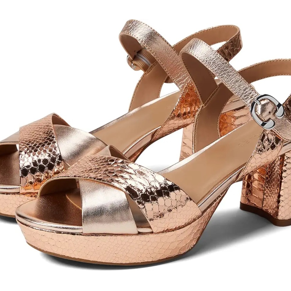Aerosoles Cosmos